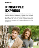 Cartucho Pineapple Express